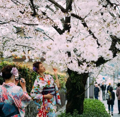 Ueno